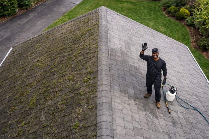 Roof cleaning